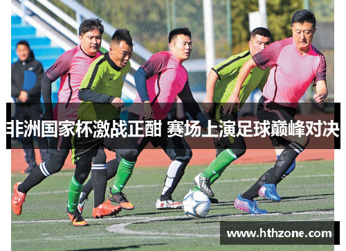 非洲国家杯激战正酣 赛场上演足球巅峰对决